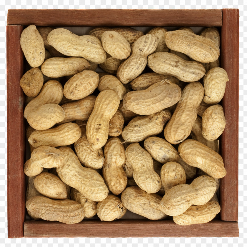 A Plate Of Peanuts Peanut Food PNG