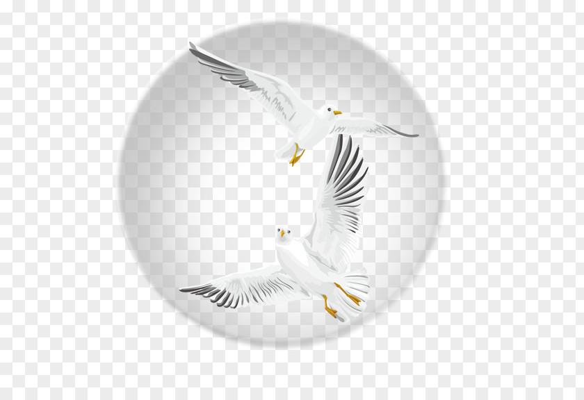 Bubble Flying Bird Flight PNG