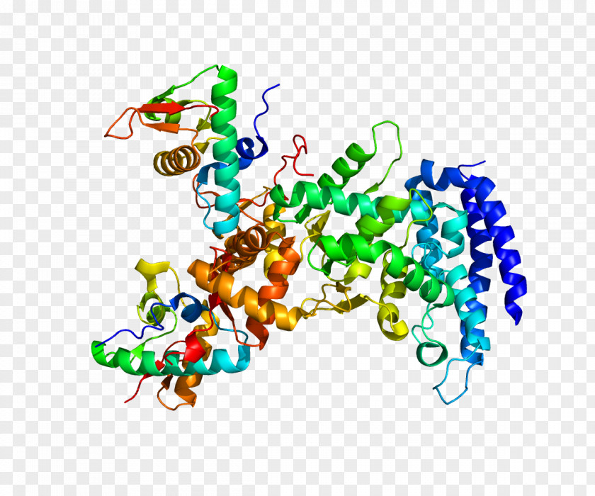 ESCRT Vacuolar Protein Sorting VPS25 Targeting PNG