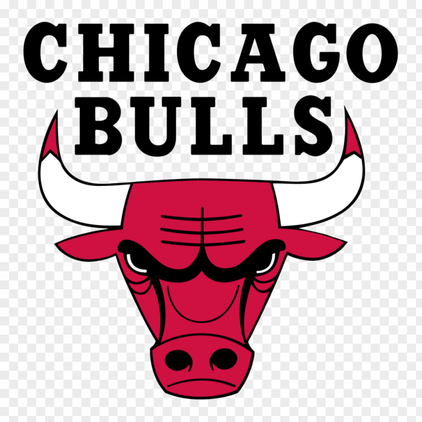 Nutella Chicago Bulls Windy City NBA Development League Logo PNG