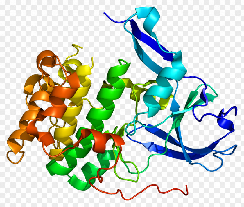 Ribosomal Protein S6 Kinase RPS6KA5 PNG