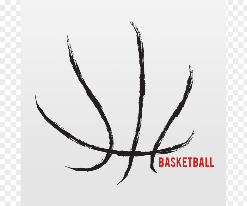 Basketball Outline Of Clip Art PNG