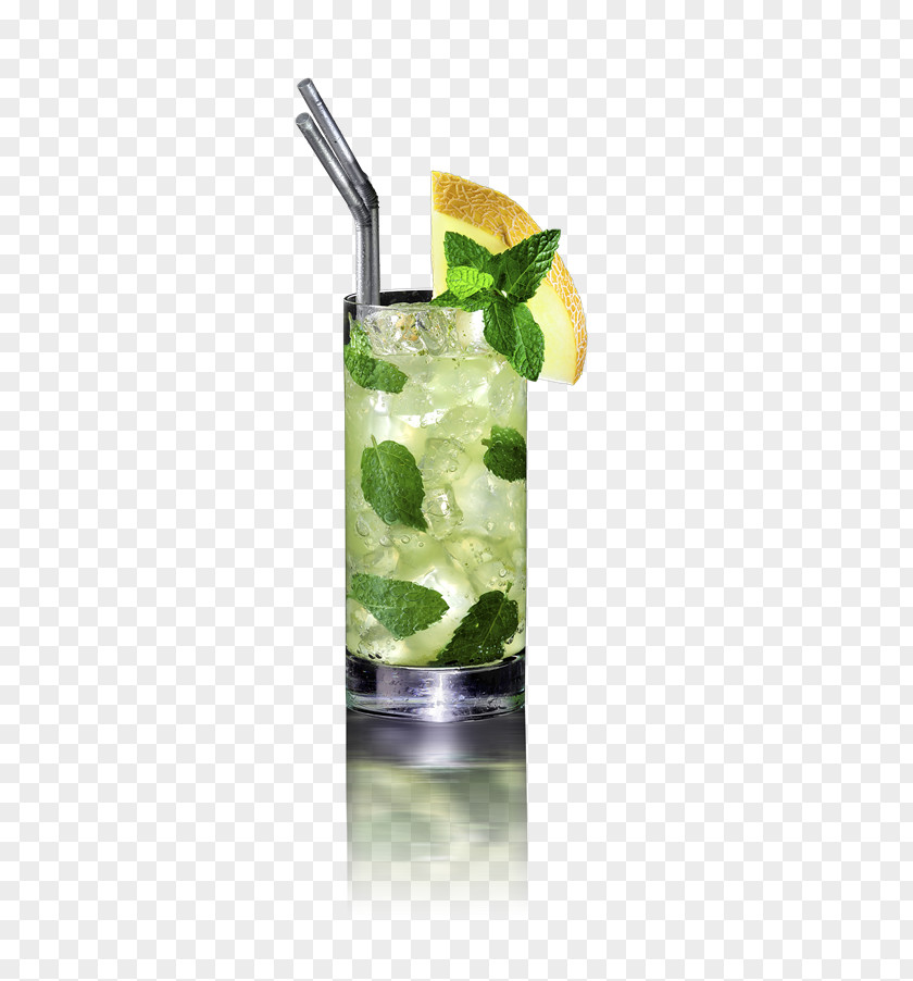 Cocktail Mojito Caipirinha Garnish Gin And Tonic PNG