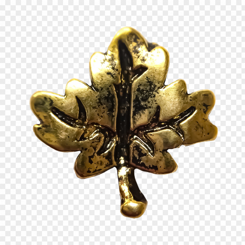 Gold Leaf Metal Brass Jewellery Bronze PNG