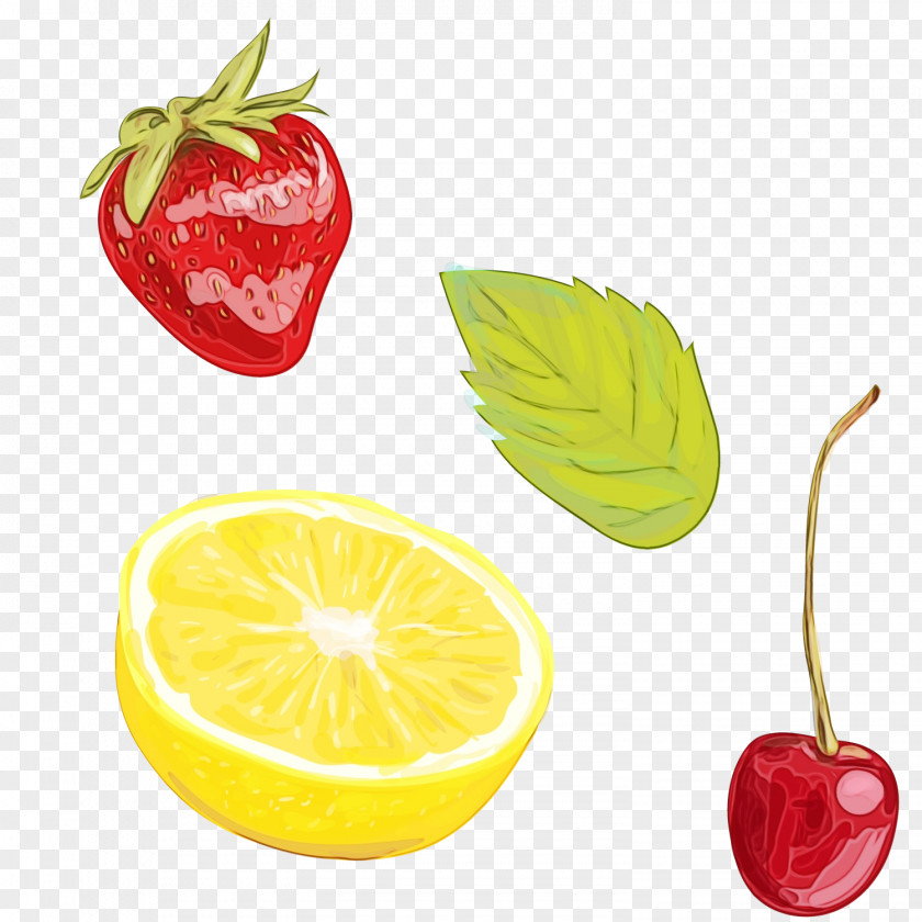 Seedless Fruit Superfruit Watercolor Natural PNG
