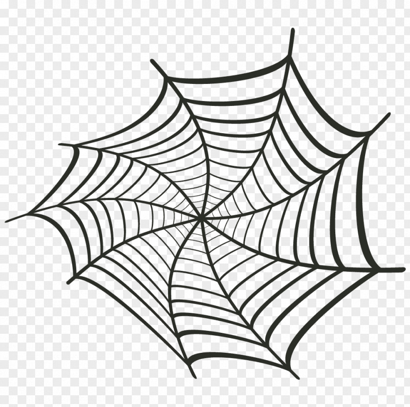 Spider-Man Spider Web Image Drawing PNG