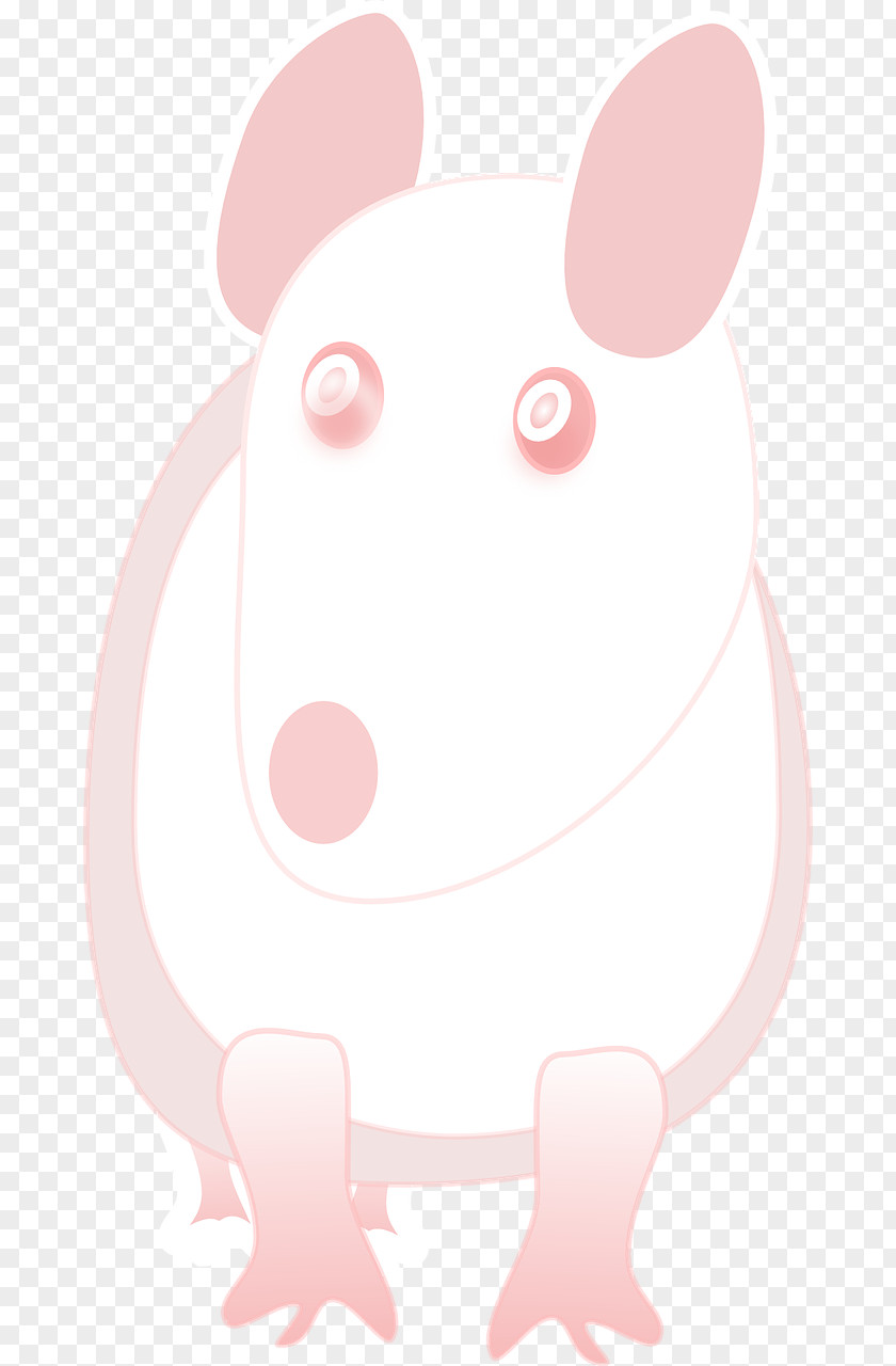 Rat Mouse Rodent Mammal Muroidea PNG