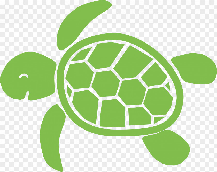 Turtle Sea Tortoise Clip Art PNG
