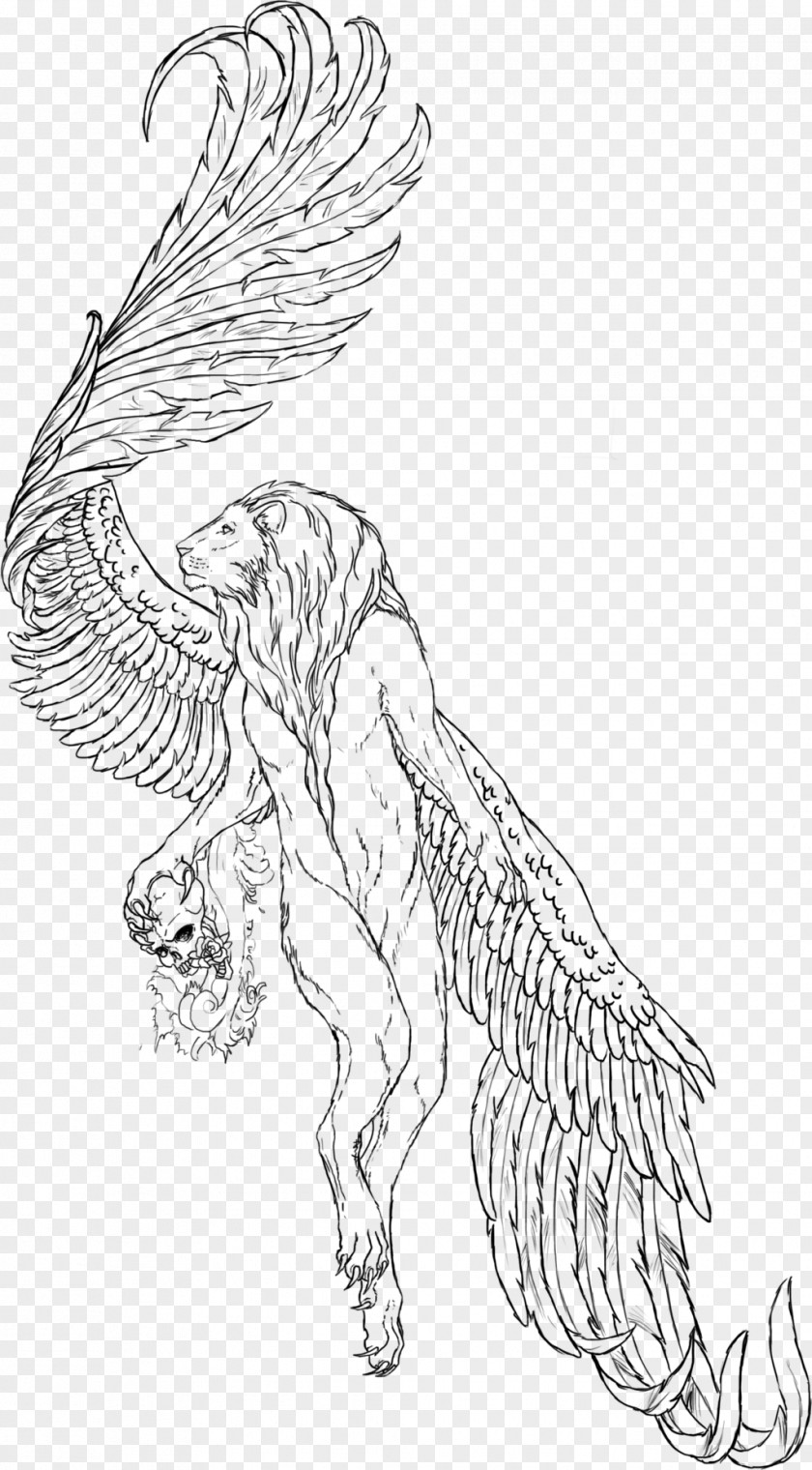 Winged Lion Drawing Line Art Carnivora Sketch PNG