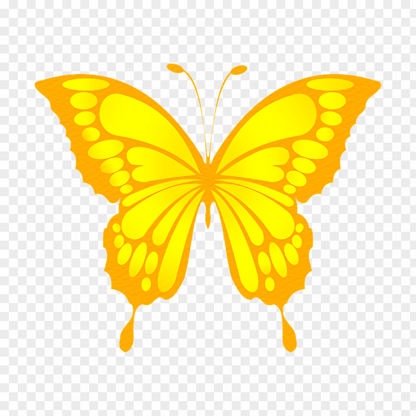 Butterflies Insect Menelaus Blue Morpho Cartoon PNG