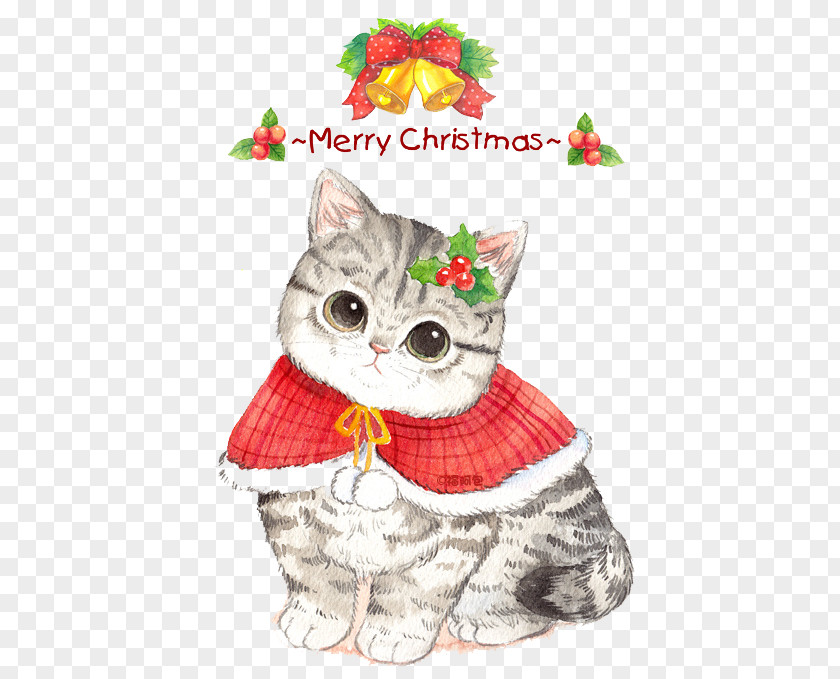 Cartoon Cat Whiskers Christmas Ornament Eve PNG