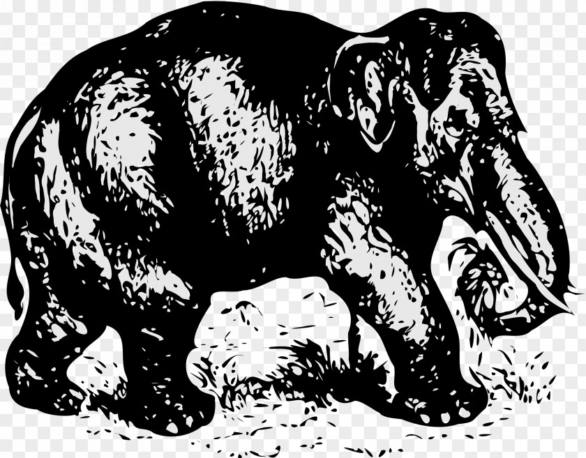 Elephants Indian Elephant African Clip Art Vector Graphics PNG