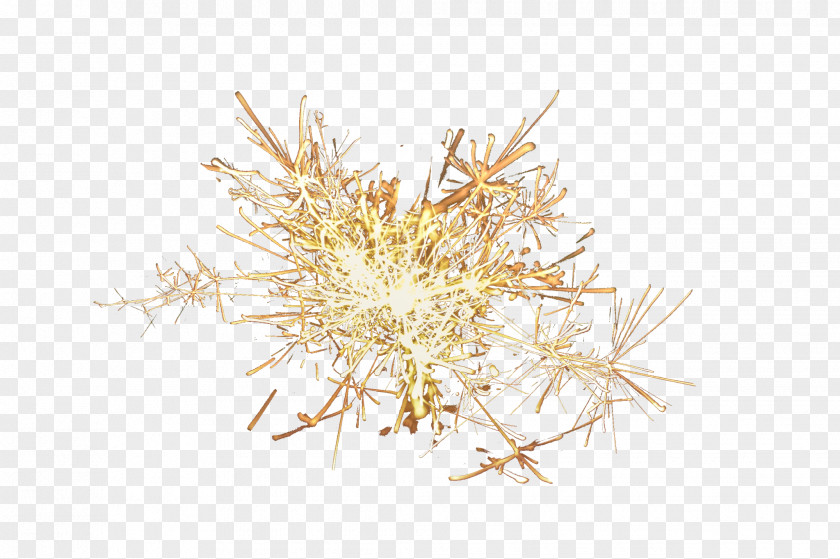 Fairy Lights Grasses Twig Family PNG