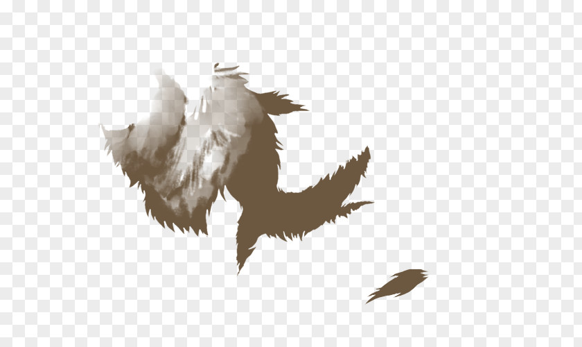 Feather Mane Bald Eagle Skin Hair PNG