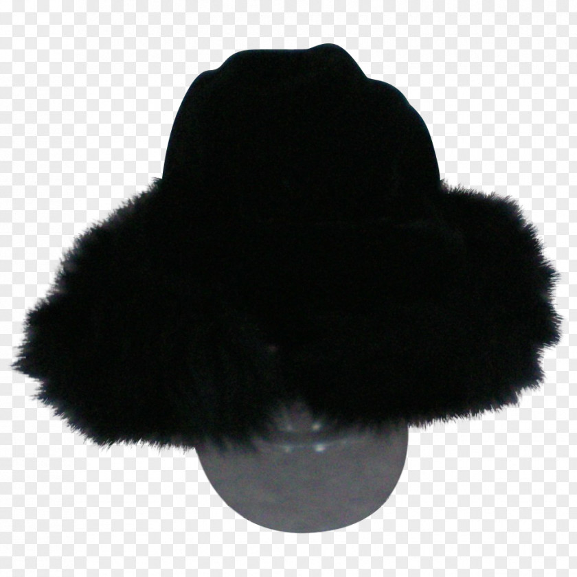 Fur Clothing Shoe Headgear PNG