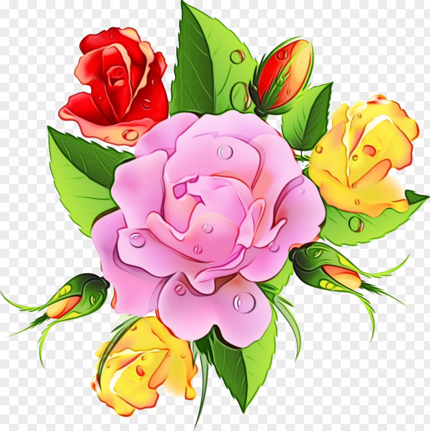 Garden Roses PNG