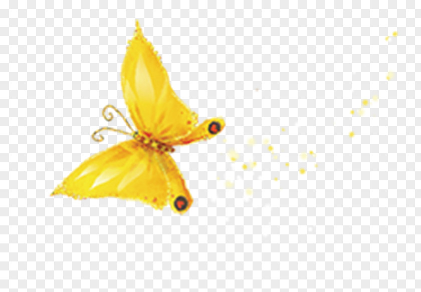 Golden Butterfly Gold Computer File PNG