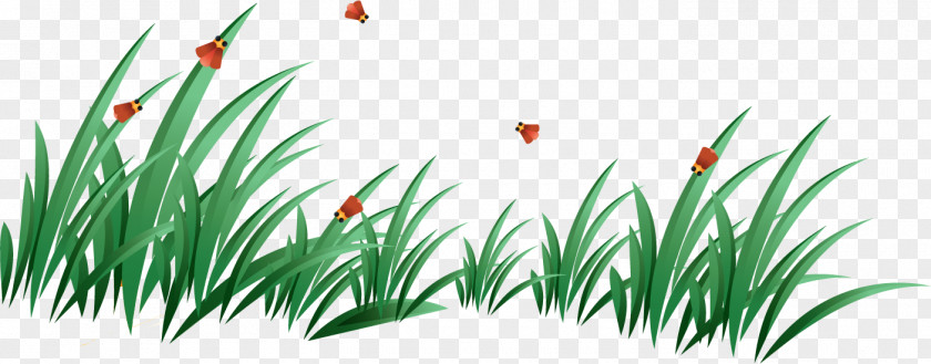 Grass Clip Art PNG