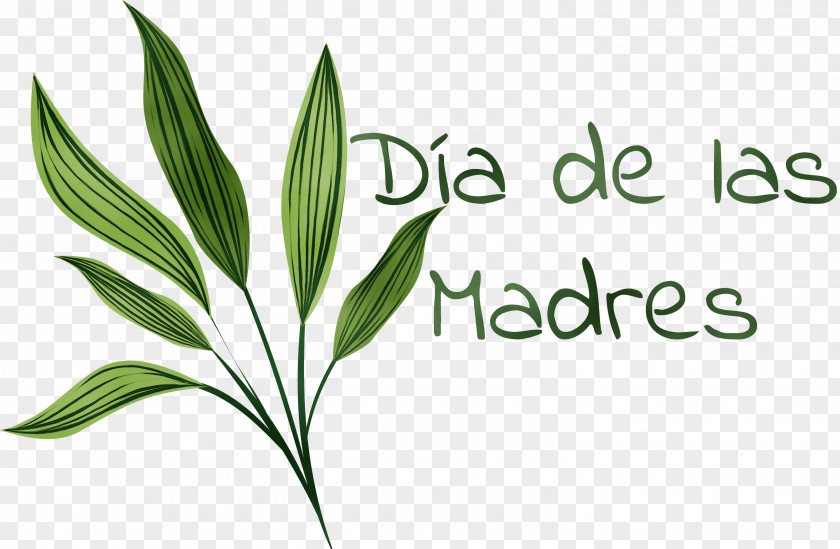 Leaf Plant Stem Logo Grasses Font PNG