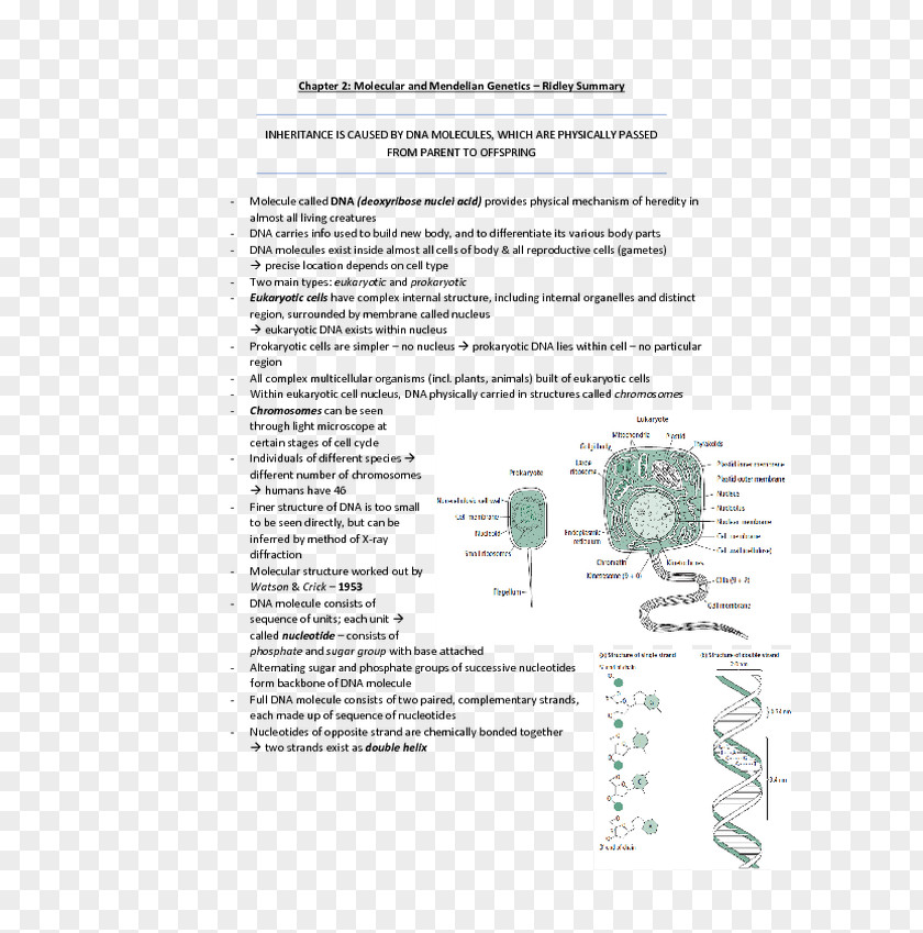 Line Document Organism Recipe Screenshot PNG