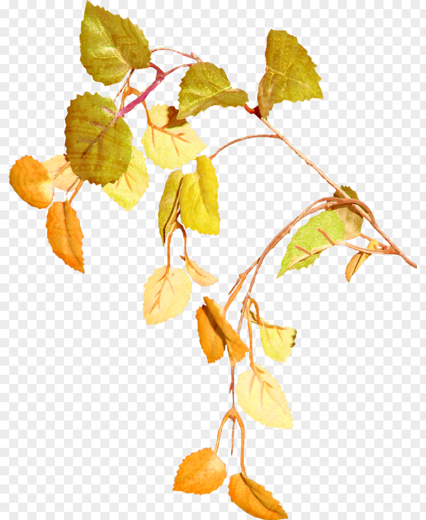 Yellow Branch Chartreuse Clip Art PNG