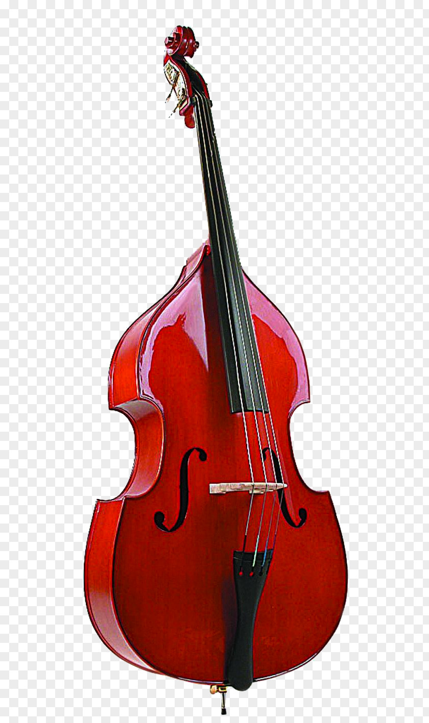 Cola Fender Precision Bass Double Cello Violin Viola PNG