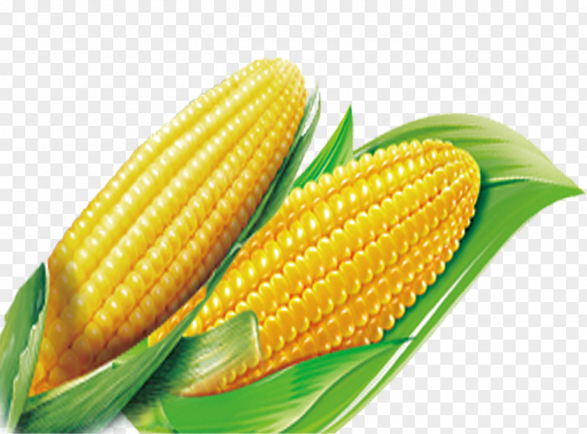Corn On The Cob Download Computer File PNG