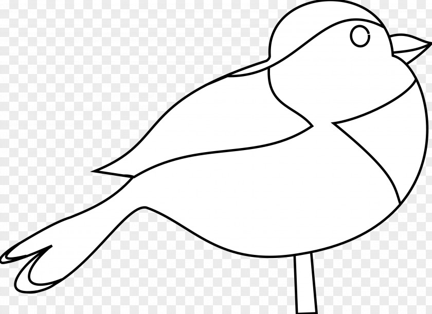 Dove Line Art Black And White Clip PNG