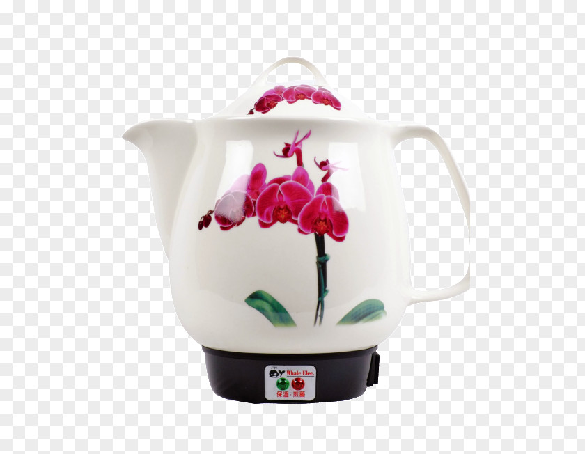 Kettle Teapot Tableware Rice Cookers Electric Steam Boiler PNG