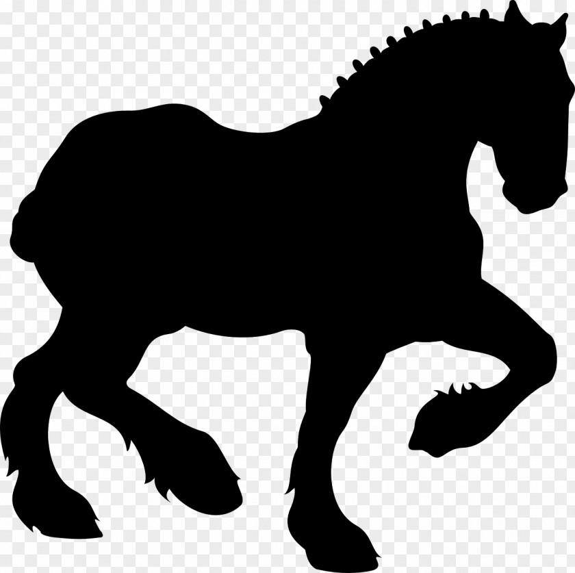 Mane Fjord Horse Mustang Pony American Quarter PNG
