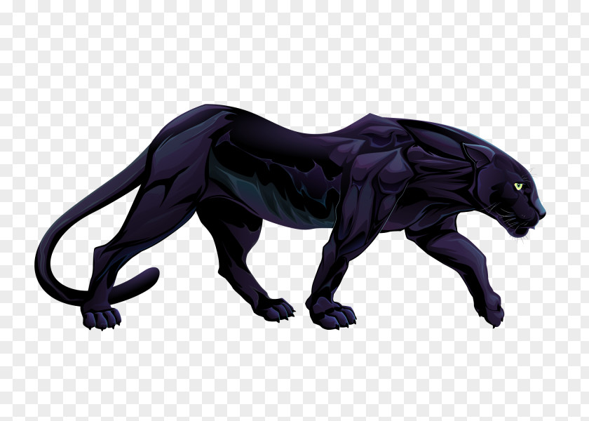 Vector Panthers Leopard Black Panther Felidae Illustration PNG