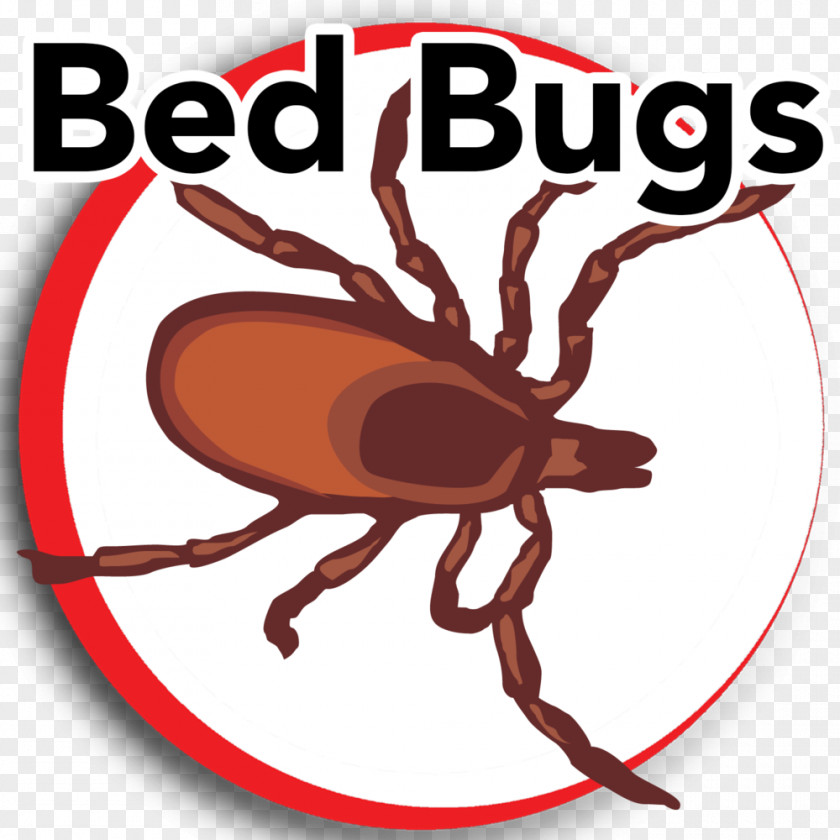 Bugs Insect Pest Bed Bug Clip Art PNG