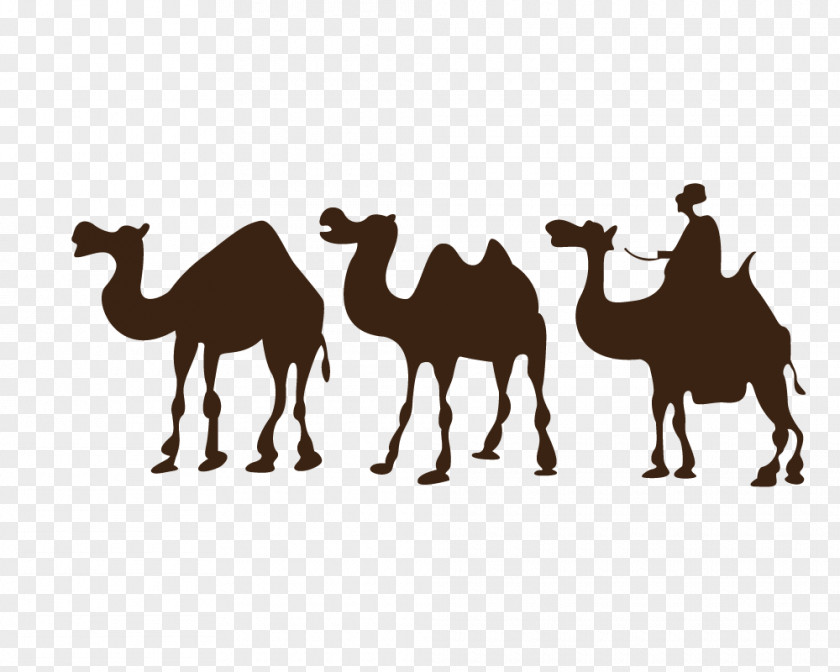 Camel Silhouette Desert Drawing Clip Art PNG