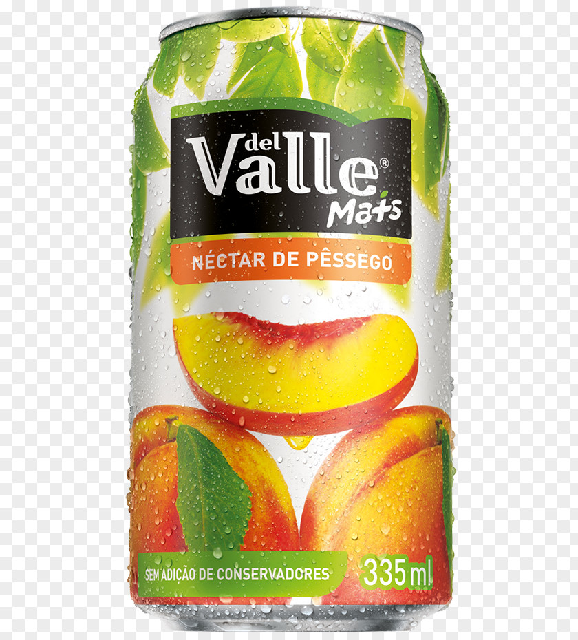 Juice Del Valle Kapo Suco Mais Laranja Caseira 300ml PNG
