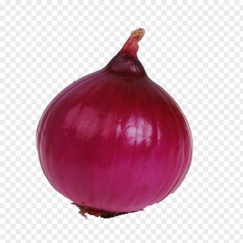 Onion Red Food Vegetable PNG