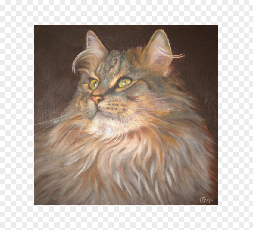 Painting Maine Coon Norwegian Forest Cat Persian Asian Semi-longhair Whiskers PNG