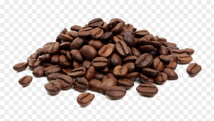 Coffee Bean Single-origin Instant PNG