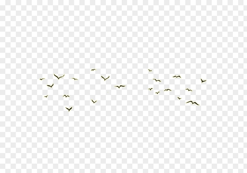 Flock Of Birds Angle Euclidean Vector Pattern PNG