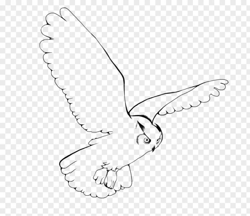 Flying Owl Snowy Bird Drawing Clip Art PNG