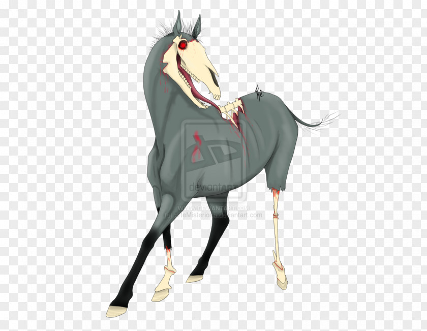 Mustang Rein Mane Stallion Pony PNG