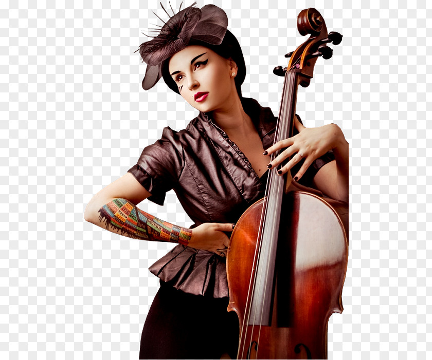 Violin Violone Cello Double Bass PNG