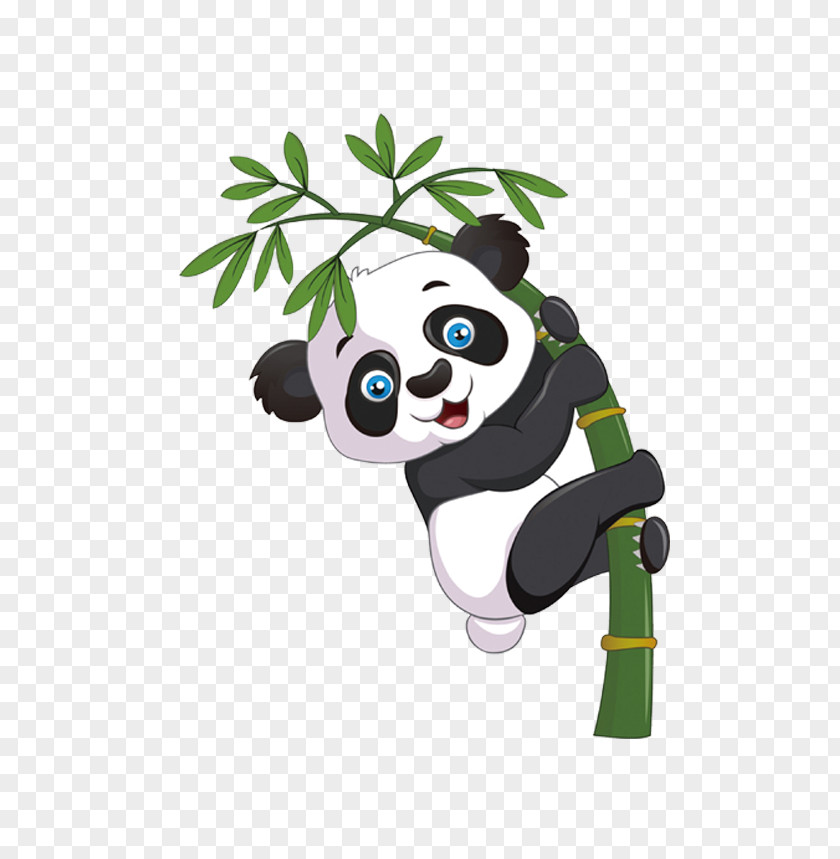Bamboo Panda Giant Bear Cartoon PNG