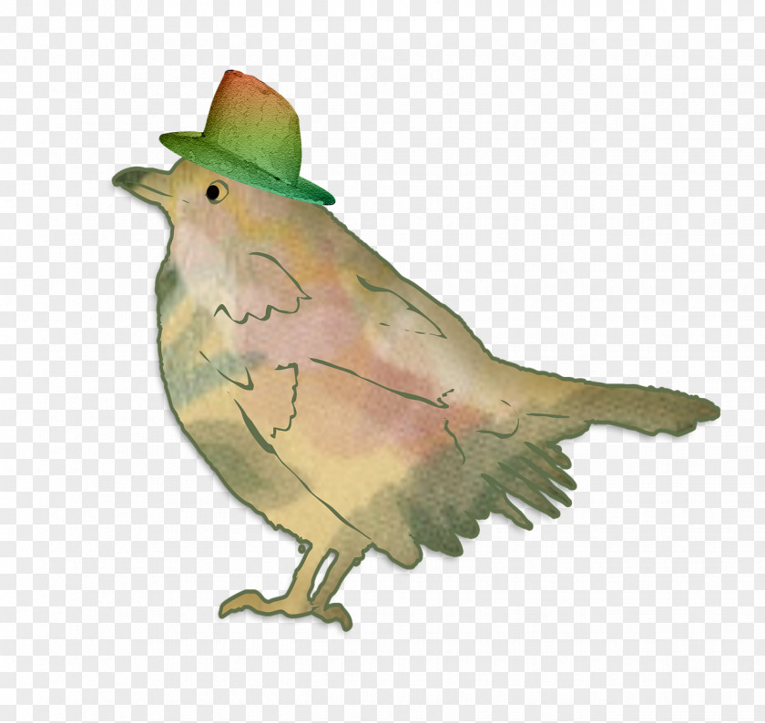 Bird Beak Download PNG