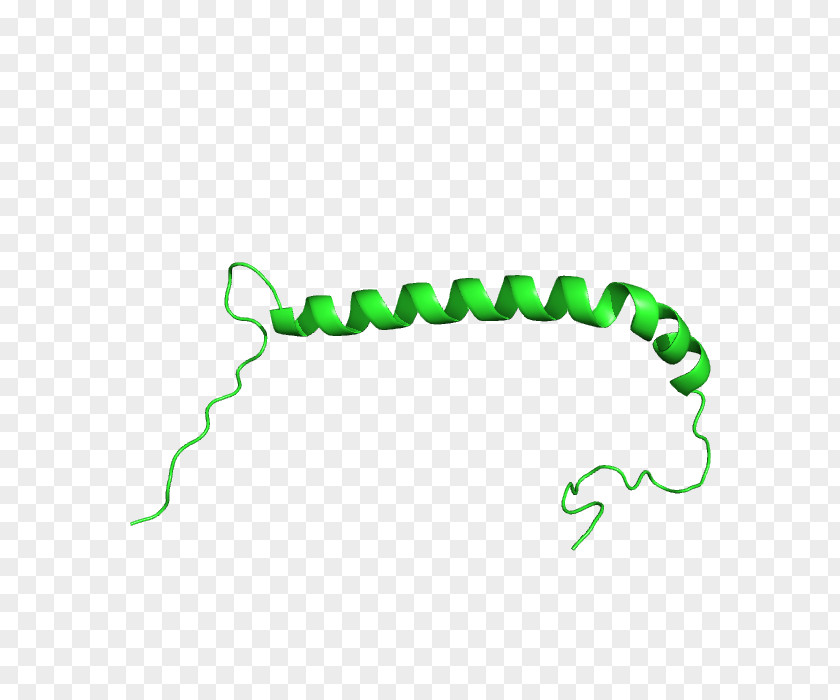 Design Line Clip Art PNG