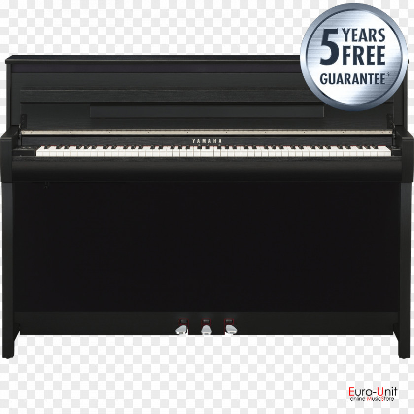 Digital Piano Electric Musical Keyboard Player Pianet PNG