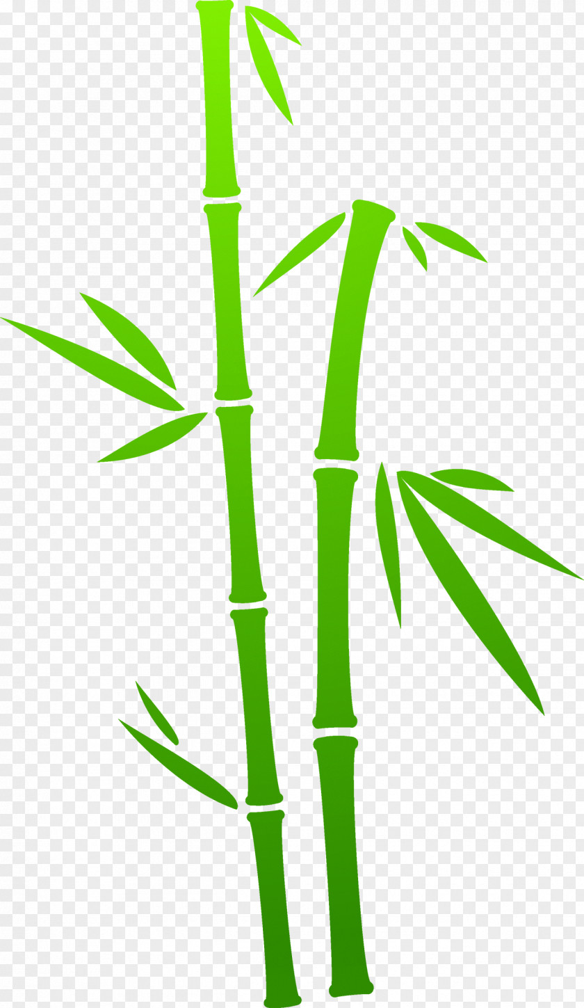 Green Bamboo Painting PNG