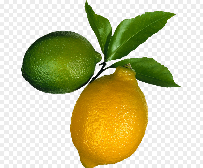 Lemon Juice Lime Food Corona PNG