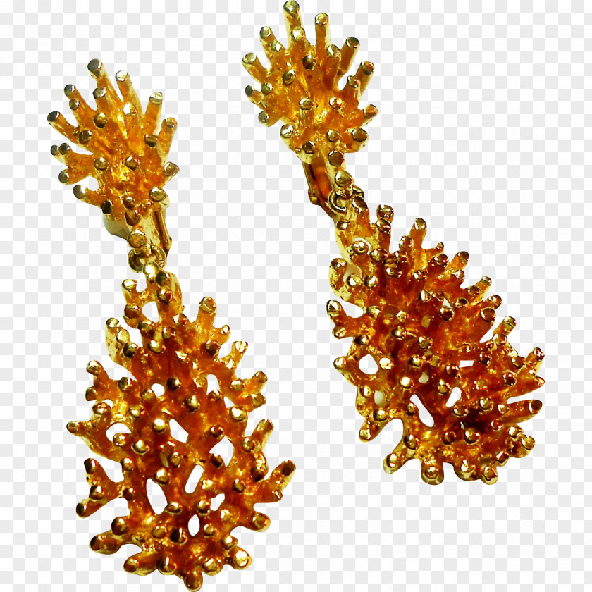 Nugget Jewellery Amber PNG