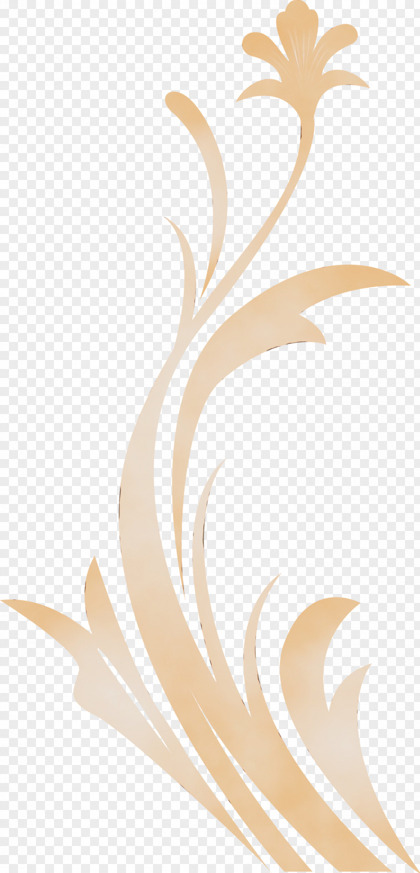 Brown Beige Plant PNG