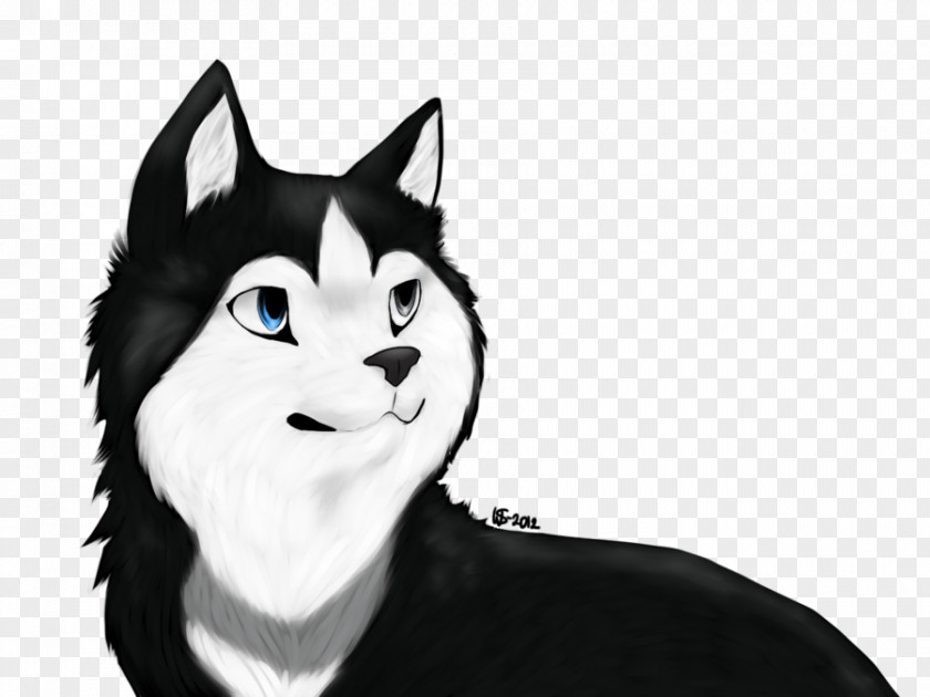 Cat Whiskers Dog Canidae Nose PNG